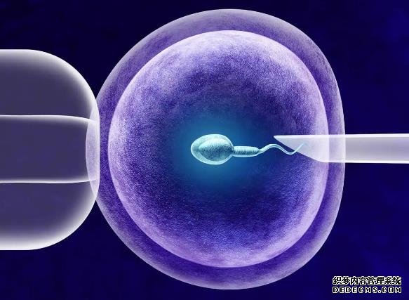 重慶供卵哪家專業 重慶三代試管嬰兒包男孩醫院排名 ‘生過38周男寶的b超單’