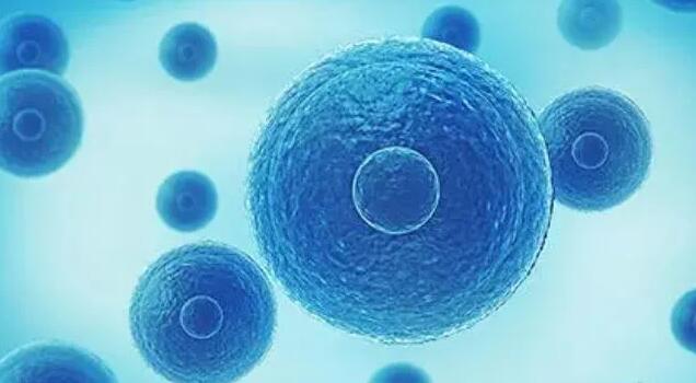 鄭州供卵試管 鄭州婦幼保健院試管流程費用清單 ‘孕26周四維數值,女孩的’