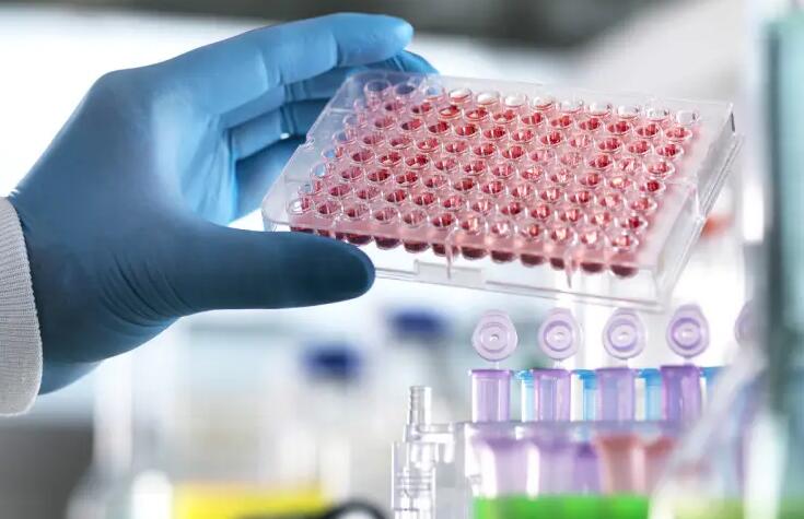 四平供卵試管 2023四平試管嬰兒醫(yī)院排名，附試管嬰兒成功率和費(fèi)用一覽 ‘b超如何測(cè)男女’