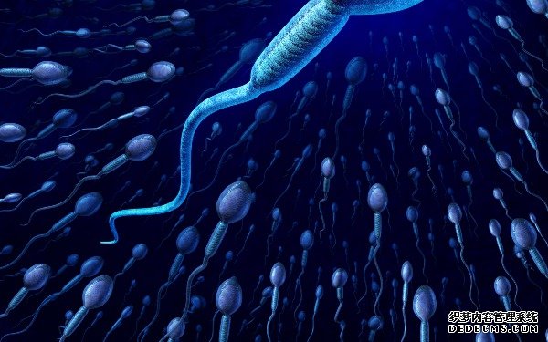 昆明供卵試管哪里最低 昆明供卵助孕機構排名最新出爐，供卵生男孩費用參考？ ‘營口伊人26周四維看男女準么’