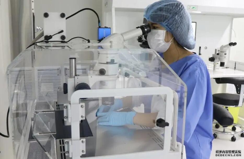 溫州供卵中介機(jī)構(gòu) 2022年溫州試管嬰兒費(fèi)用大約多少? ‘有孕囊三個(gè)數(shù)據(jù)差不多一樣是男孩的嗎?’