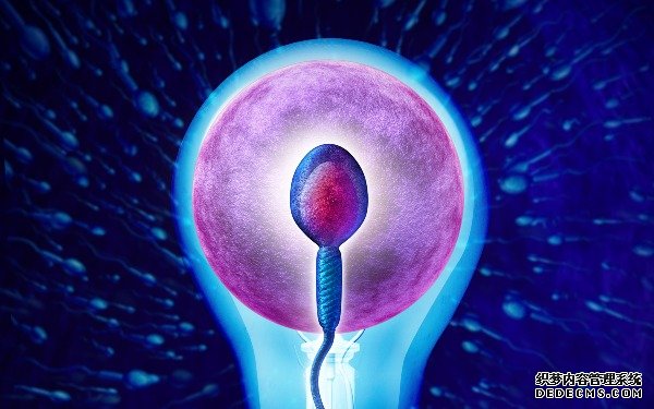 太原助孕生兒子 太原做供卵試管醫院前七排名 ‘營口伊人26周四維看男女準么’