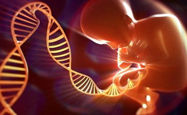 深圳*卵試管費用多少錢試管成功率真的很高嗎