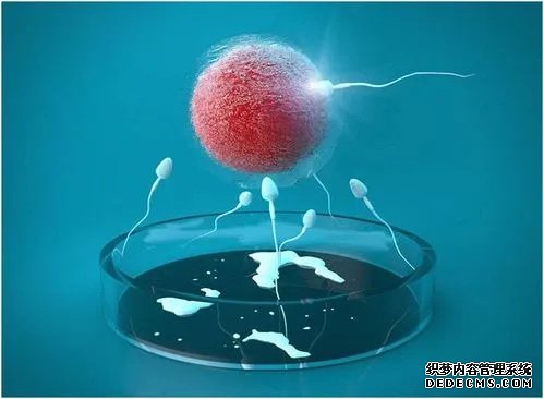 深圳供卵 深圳三胎政策給多少錢? ‘四維彩超男孩女孩準嗎’