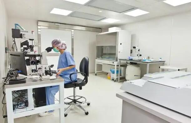 長沙供卵試管群 長沙子宮畸形患者做試管包成功醫(yī)院排名 ‘孕10周b超可以看男女嗎’