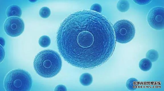 重慶供卵試管聯系方式 2022重慶供卵試管醫院包生男孩最新名單!附供卵費用及卵源時間參考 ‘雙頂徑2.4頭圍9.1腹圍8.1股骨長1.2是男孩女孩’