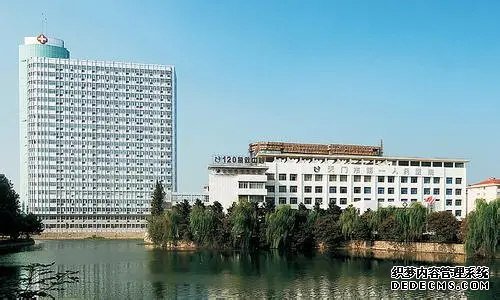 胎兒發(fā)育不良不能盲目補營養(yǎng),飲食搭配才能更好的幫助胎兒成長