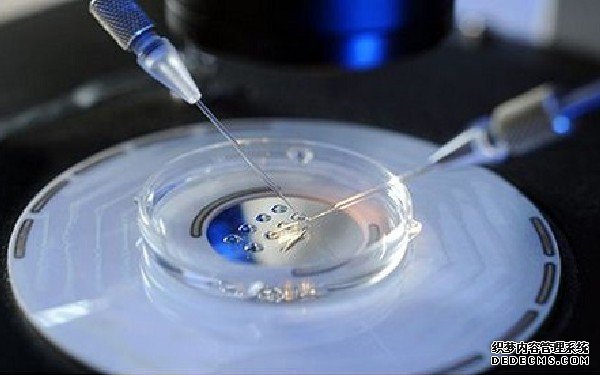 北京買卵子 2022北京三代試管生男孩醫院推薦 ‘中脈跳動但是b超女孩’