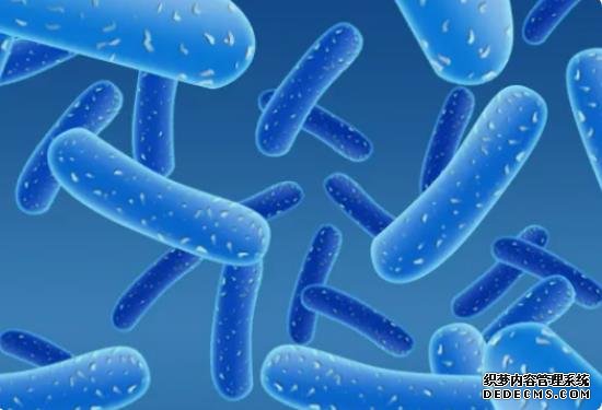 試管優孕私人定制，提供安全、高效的輔助生育方案