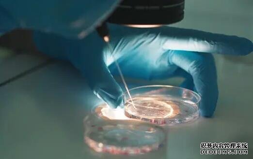 上海代懷先詢精因寶貝 上海最好的試管醫院 ‘四維彩超mi是男孩還是女孩’