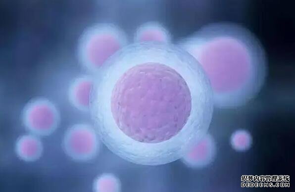 12周做nt胎心率160以上絕對是女孩嗎?