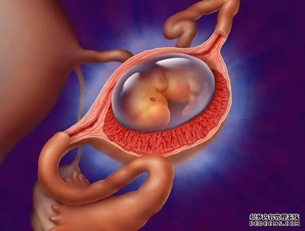 南寧助孕中心醫(yī)院 2022年南寧能包生男孩的試管醫(yī)院分享 ‘三維女寶寶’