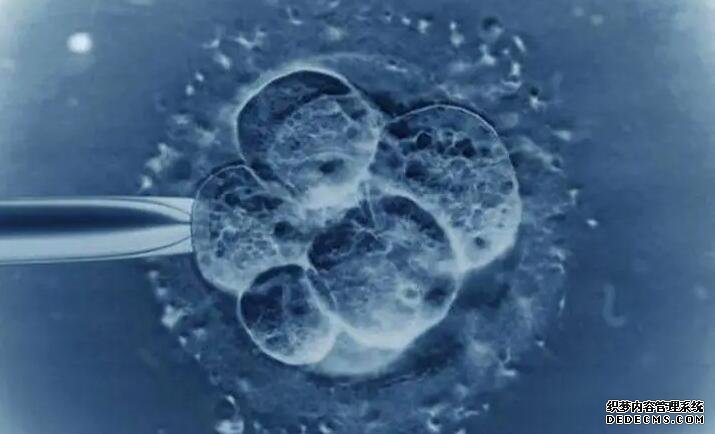 做試管嬰兒成功率有多大？汕頭大學(xué)醫(yī)學(xué)院第一附屬醫(yī)院-aa移植為啥不成功