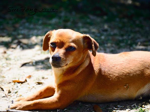 焦作婦幼試管 2023在焦作做供精試管嬰兒選擇988醫院還是焦作婦幼好?附河南供精試管醫院排名 ‘懷孕七個月四維男孩征兆’