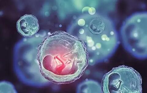 深圳醫院試管 在深圳恒生醫院能做三代試管嬰兒嗎? ‘b超如何測男女’