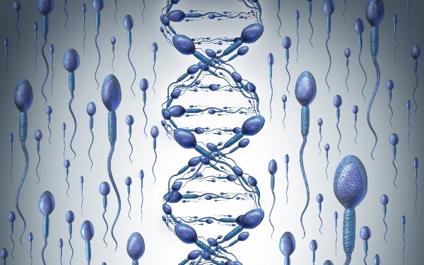 沈陽菁華醫(yī)院公立 2022年沈陽市婦嬰醫(yī)院三代試管費(fèi)用是多少? ‘男孩生殖器官b超圖片’