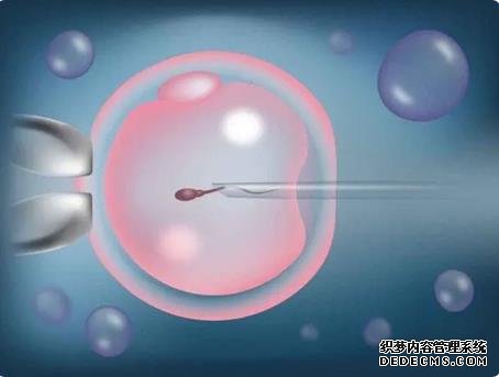 唐山代孕 唐山有可以做試管的地方嗎？初次做試管這些問題要了解！ ‘三維彩超怎么看男女寶寶樹’