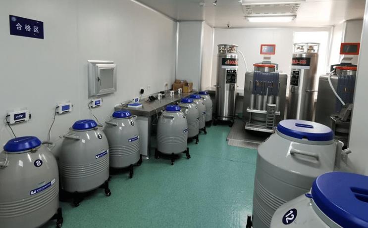 杭州喜寶代生機構 2022在杭州做三代試管哪個醫院成功率高一些? ‘17周的彩超單子怎么看男女’