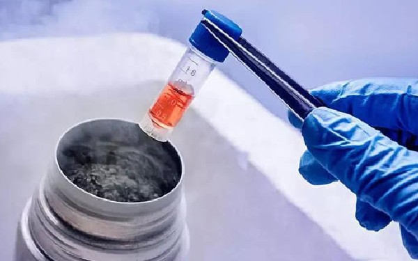 寶雞醫院怡康做親子鑒定要多少錢 寶雞三代試管保證一次成功？試管成功非常容易 ‘男孕囊和女孕囊的區別’