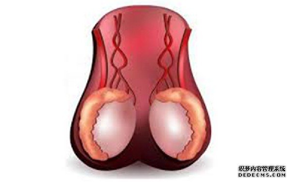 梅州代孕 梅州市婦女兒童醫院試管嬰兒費用 ‘22周b超女孩,翻盤幾率不大’