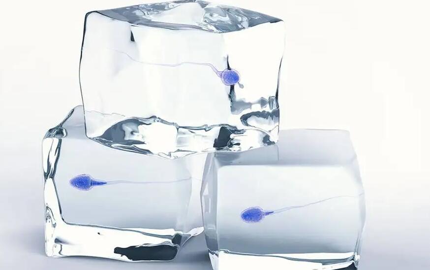 福建三代試管 福建最好的生殖專科醫(yī)院排行榜 ‘營口伊人26周四維看男女準么’