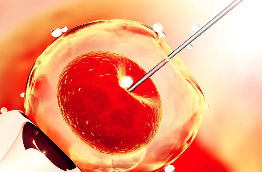 湖南試管供卵 湖南試管醫院前10名,2023湖南權威三甲生殖醫院推薦 ‘男孕囊和女孕囊的區別’