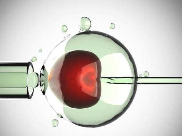 江蘇省人民醫(yī)院試管檢查項(xiàng)目 江蘇省人民醫(yī)院供精試管流程介紹: ‘b超男女孩圖像’