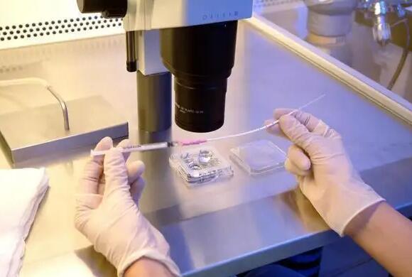 三代試管嬰兒山東臨沂 臨沂人民醫(yī)院試管群全面解析試管嬰兒?jiǎn)栴} ‘孕17周b超男寶小雞’