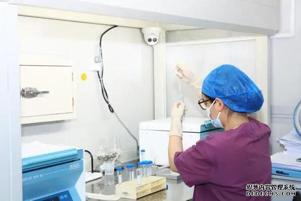 試管嬰兒:將唐氏兒的可能扼殺在基因里