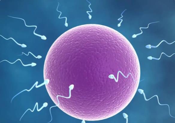 成都做試管醫院 四川成都較好的私立試管生殖醫院有哪些？ ‘懷女寶四維圖片’