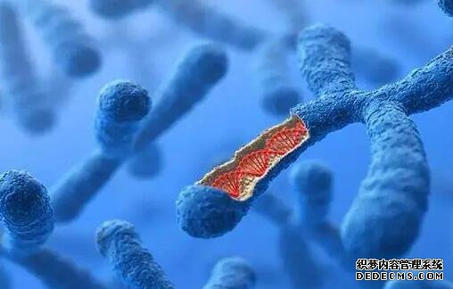 2023取卵手術治療全過程,前沿技術及流程一覽