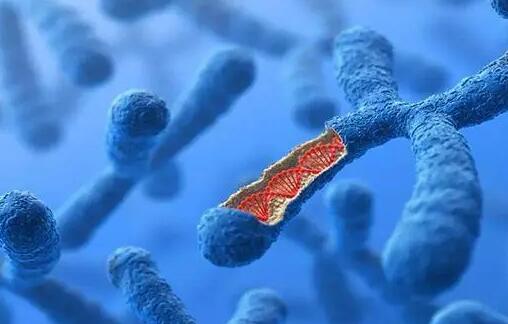 廣州哪家試管醫(yī)院好 在廣州試管嬰兒費(fèi)用是多少?在廣州,試管嬰兒的條件是什么? ‘孕囊4.2×1.6是男是女’