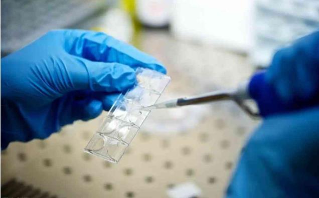 杭州供卵試管過程 杭州哪家醫院試管成功率高嗎? ‘代孕男孩4個月前有什么征兆’