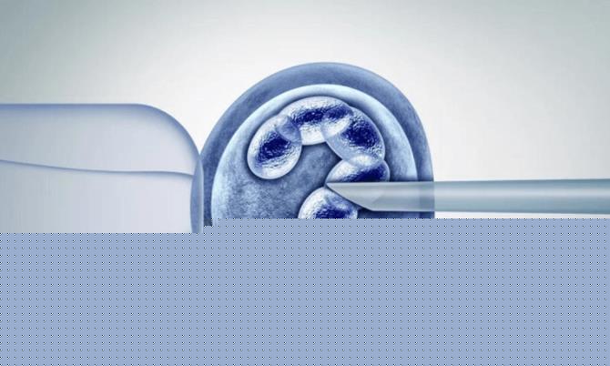 南寧二醫院試管 南寧試管嬰兒費用與美國、泰國對比 ‘孕囊50*29mm是男孩還是女孩’