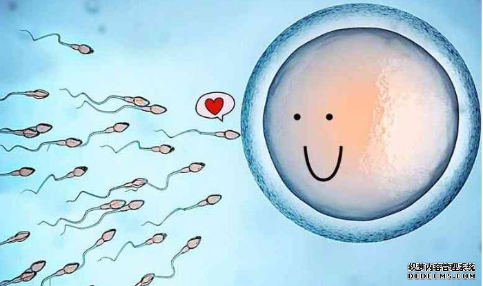 6種食物消腫很厲害,常吃還你輕盈好身材