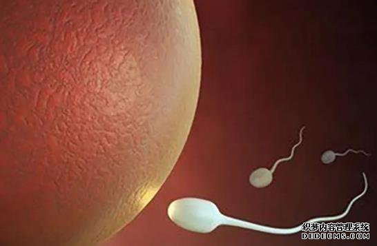 吃完紫薯千萬別碰5種食物,再饞都要管住嘴