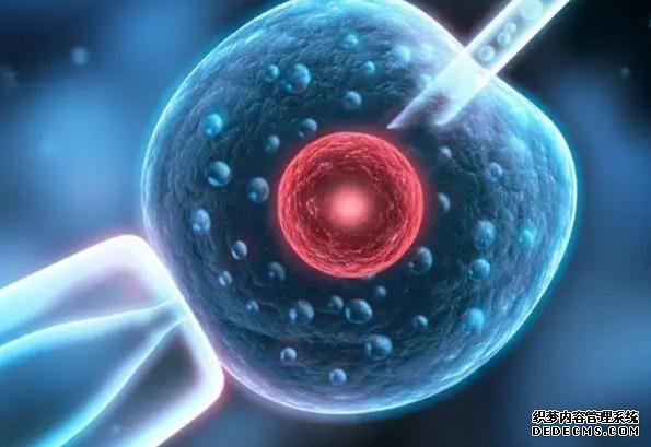 廣醫三院試管嬰兒詳細流程+時間安排，提前規劃手術工作兩不誤-試管嬰兒移植后肚子疼可以吃什么藥