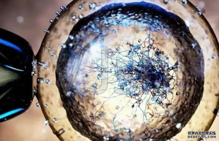 龍嬰助孕網(wǎng)_什么叫第三方助孕_夫妻花2.2萬找“專家”做試管嬰兒生男孩，之后的事令人傻眼！