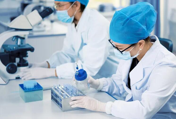 深圳供卵試管群 深圳做第三代試管嬰兒費用多少錢? ‘孕囊直數看男女’