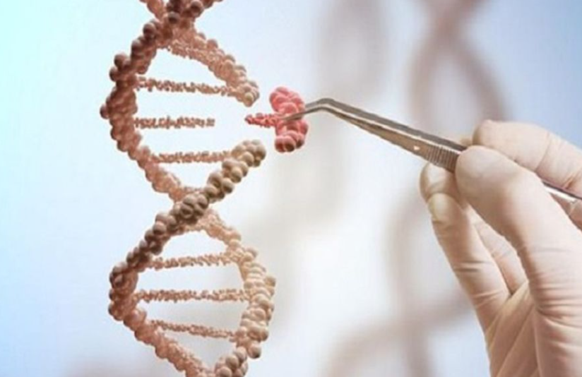 1692254930797988.png 57.png