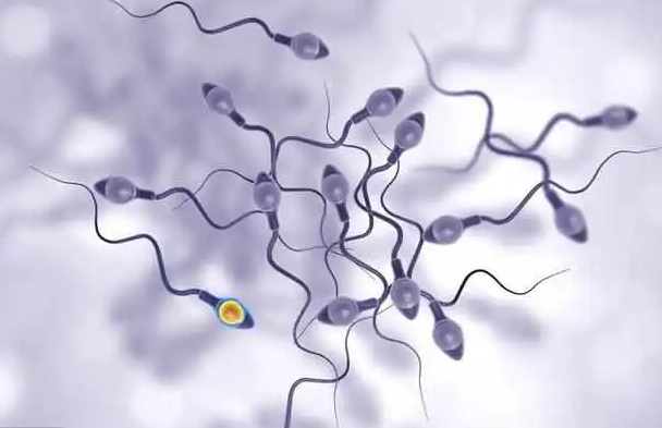 1692330061346271.png 97.png