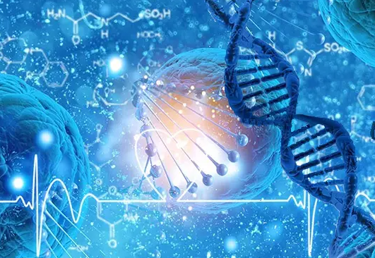 1692598609526510.png 25.png