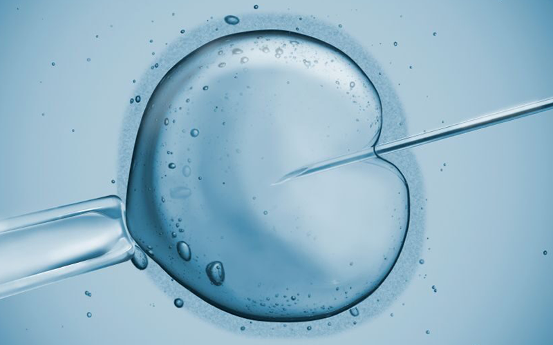 1692687143283073.png 1118F3664.png