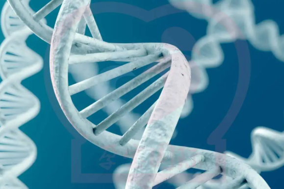 1693031537733160.png 52.png