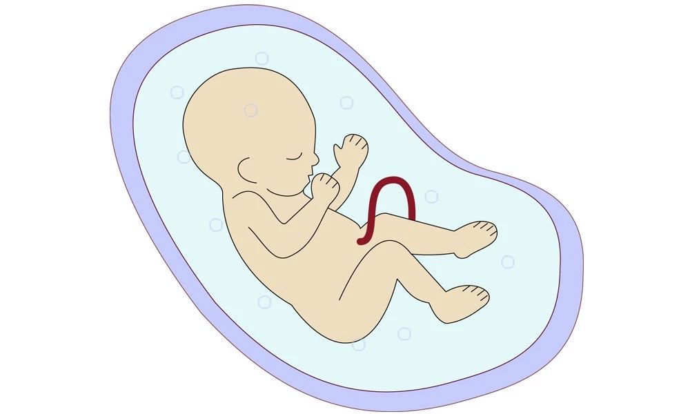 1693291487958352.jpg 5721CE5A6.jpg