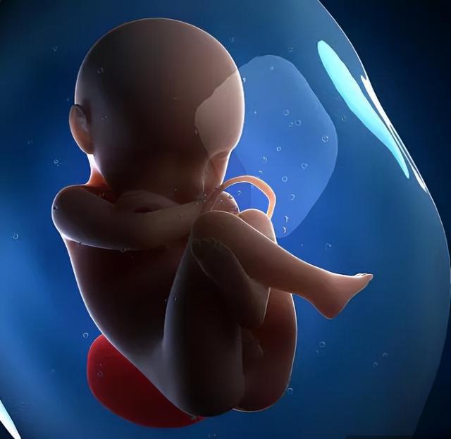 1693898107969652.jpg BA9FD135C.jpg