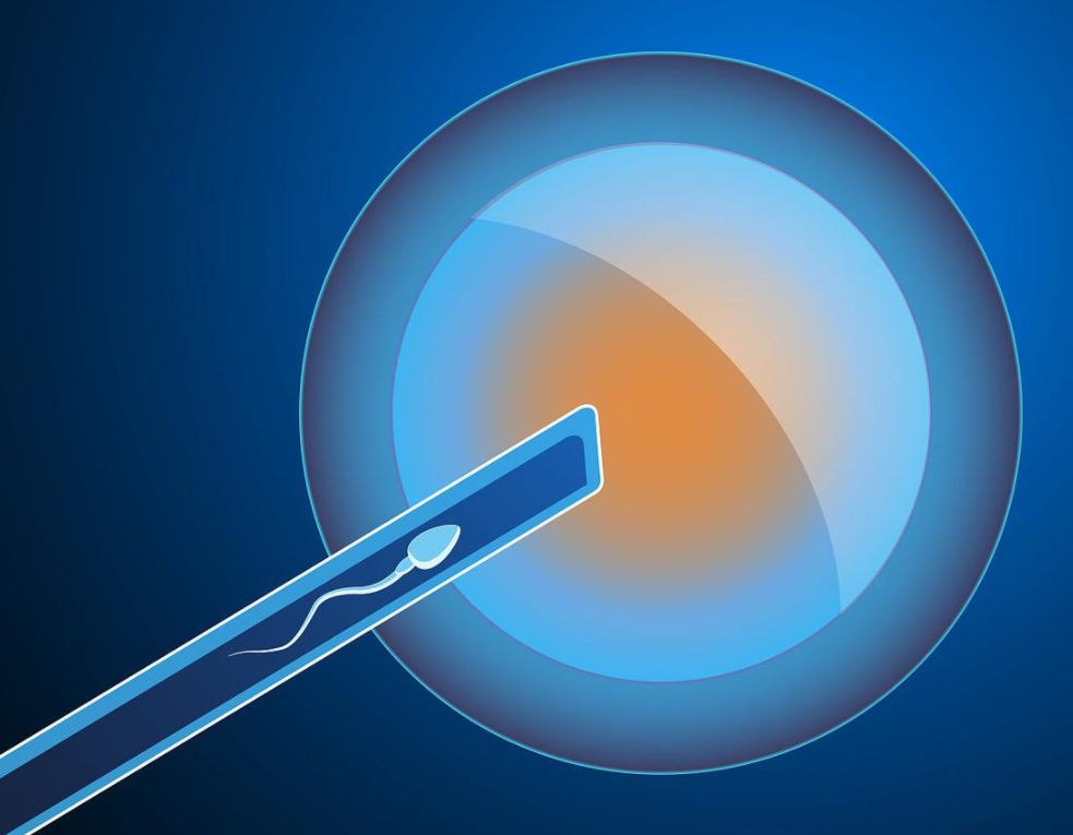 1693980411303841.png 78303031B.png