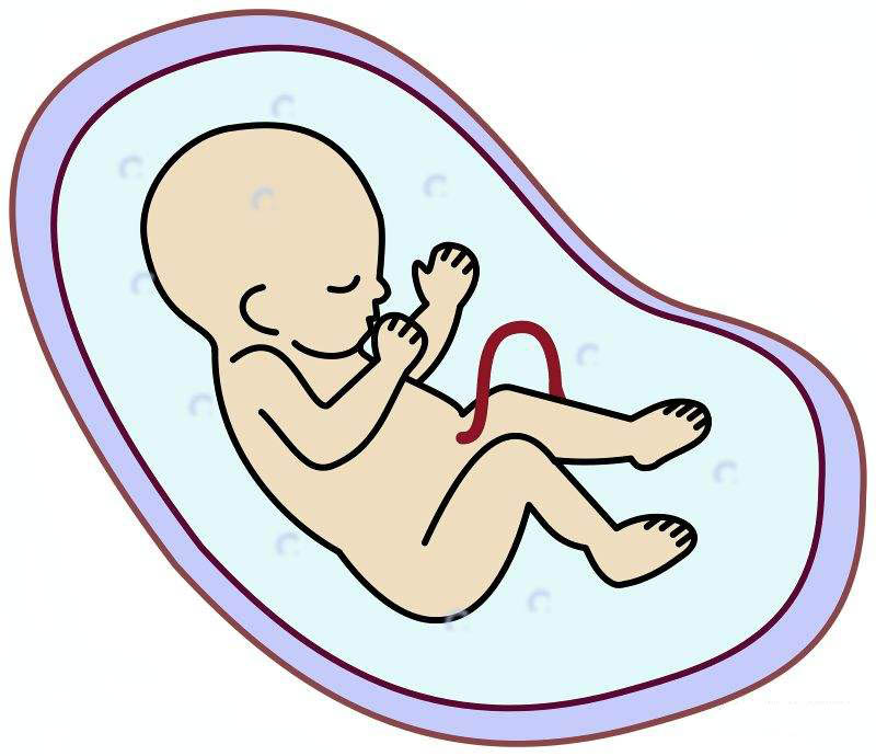 1694156332969096.jpeg 1C1476ADE.jpeg