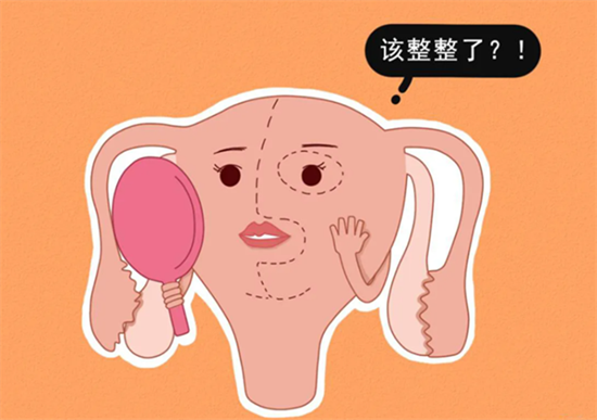 1694762722657555.png 76.png