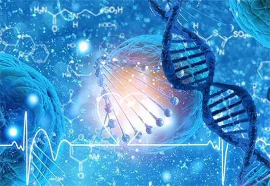 1695883493409957.png 25.png